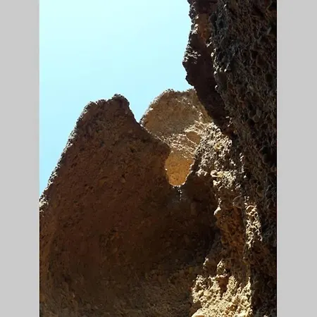 Appartamento Avec Jardin à 200m De La Plage