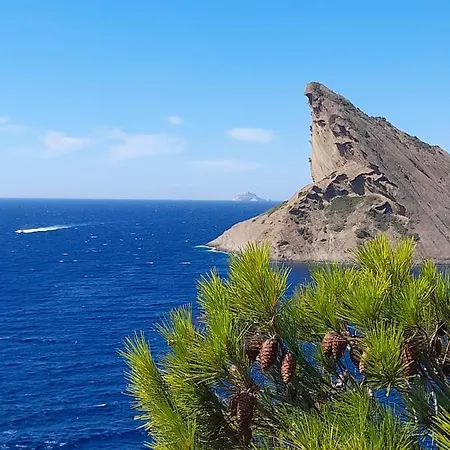 Avec Jardin à 200m De La Plage Appartamento